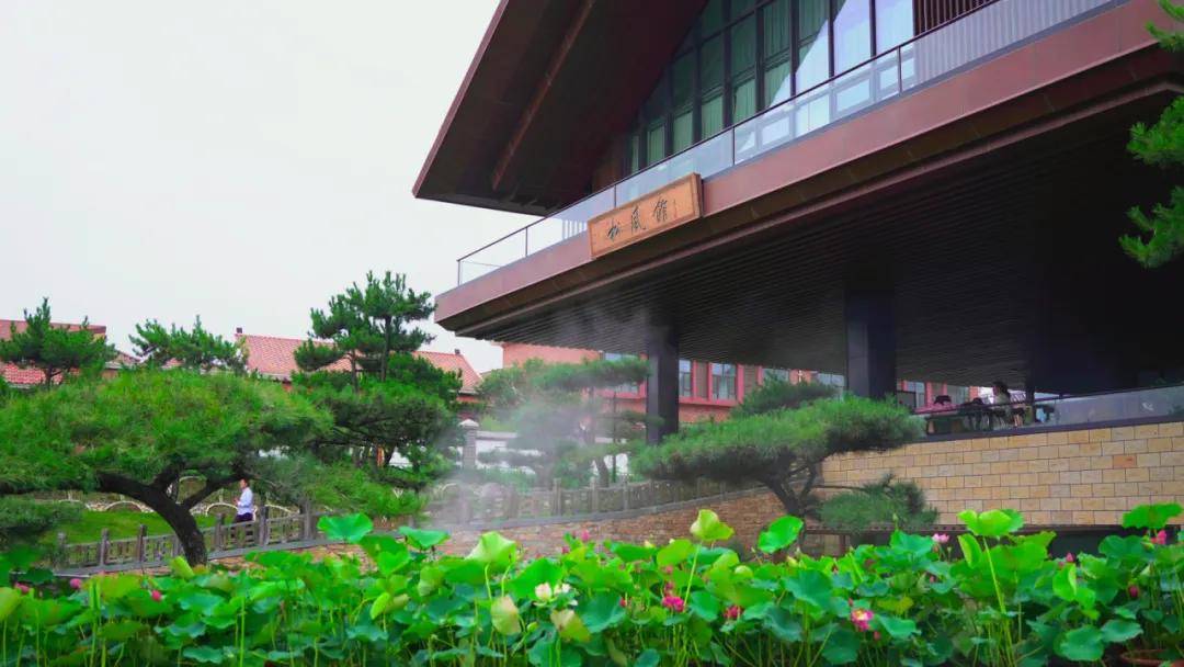 河北保定有这样的美景?"中国色"打开华中小镇的夏天_夏日_颜色_青色