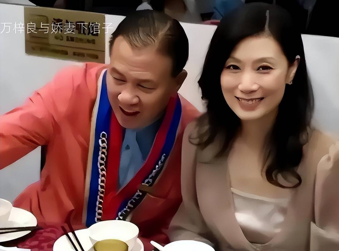 不过也是万梓良当初非要死守"大哥"形象,错过了市场变化的转型关键期