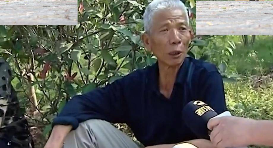 此时的陈老头想的并不是怎么治自己的病,而是想着自己死后的遗产,想到