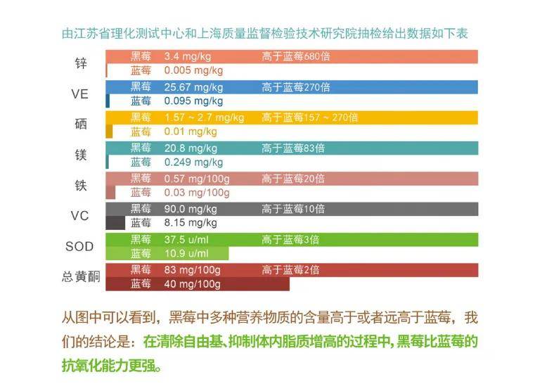 黑莓关键营养素大揭秘!