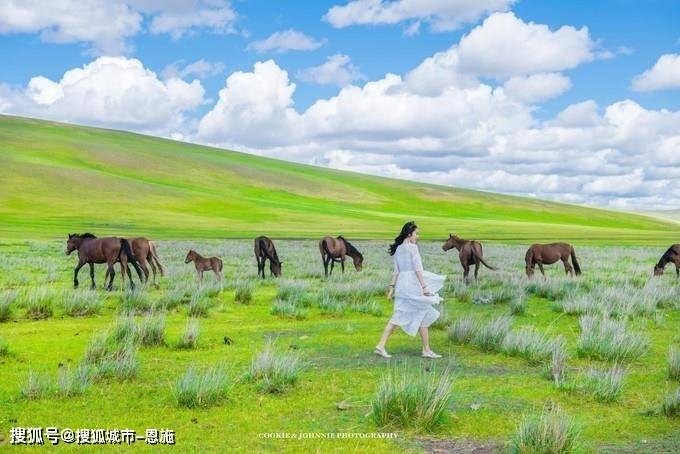 支付宝买票候补_支付宝候补购票_支付宝买的候补车票