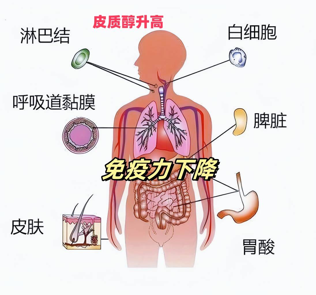 睡眠是影响孩子生长发育的关键因素,因为夜间深度睡眠时间,是生长激