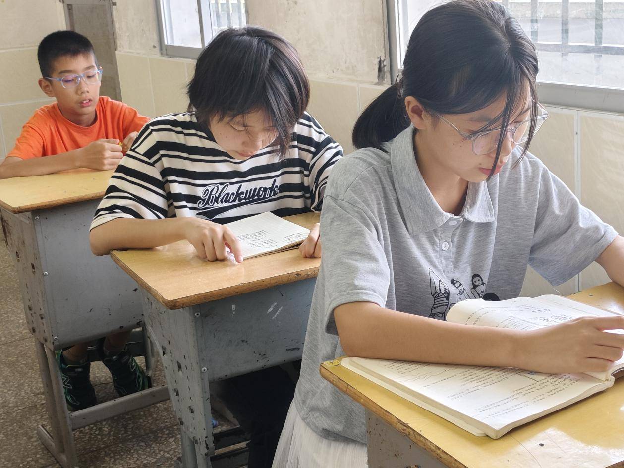 湖北学子三下乡 暖阳温暖内心