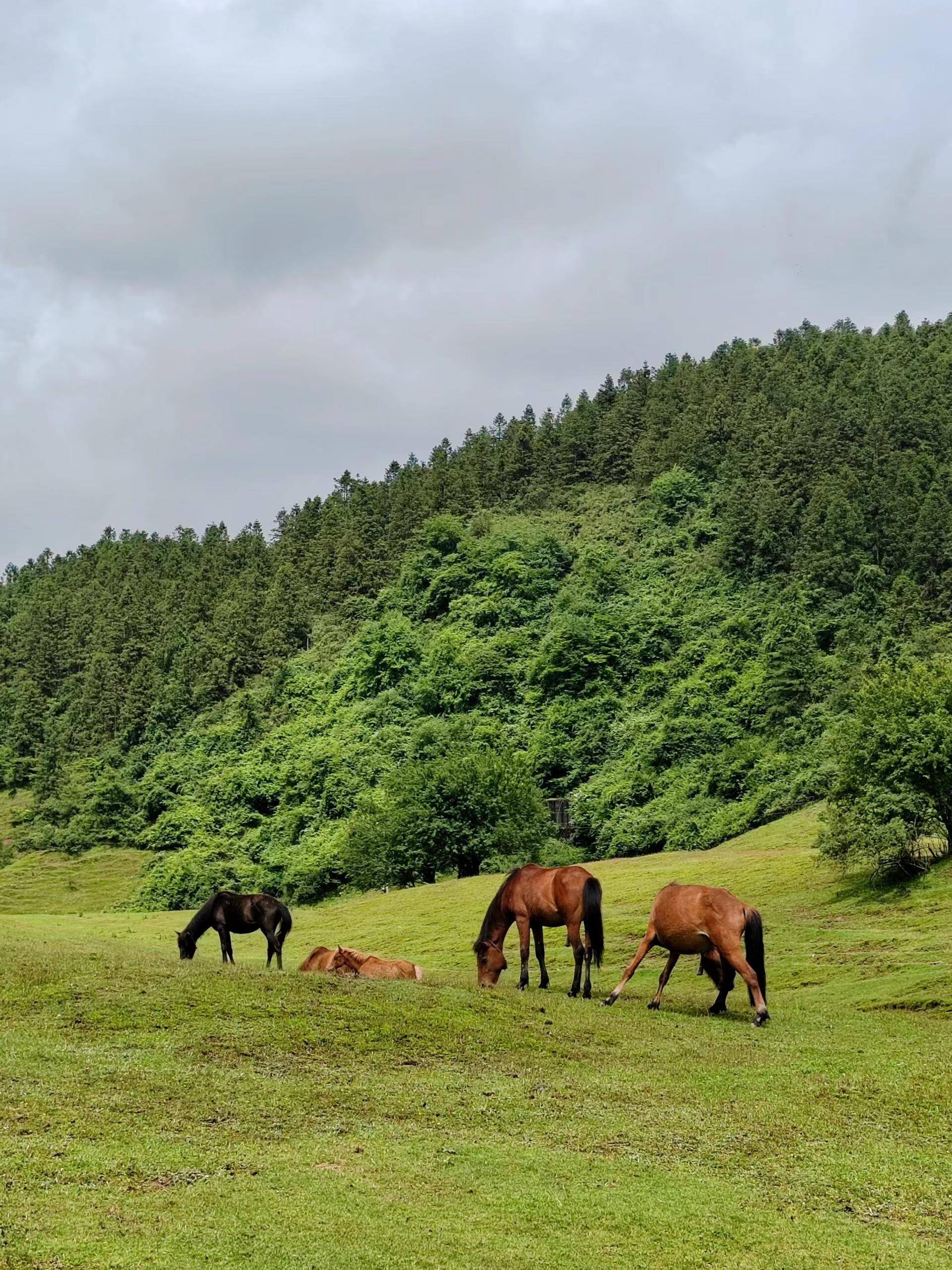 彭山区仙女山景区图片