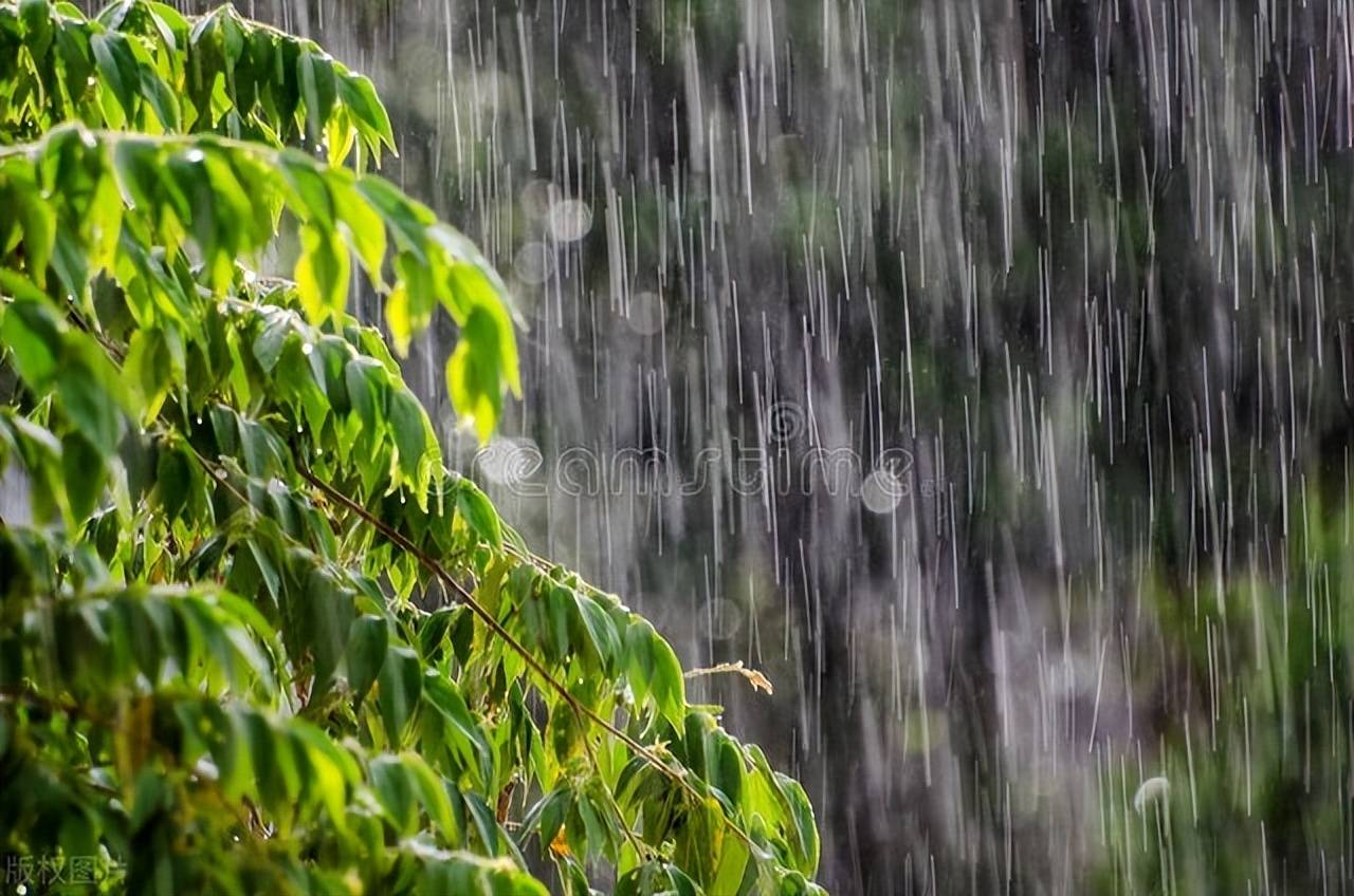 中雨 天气图片