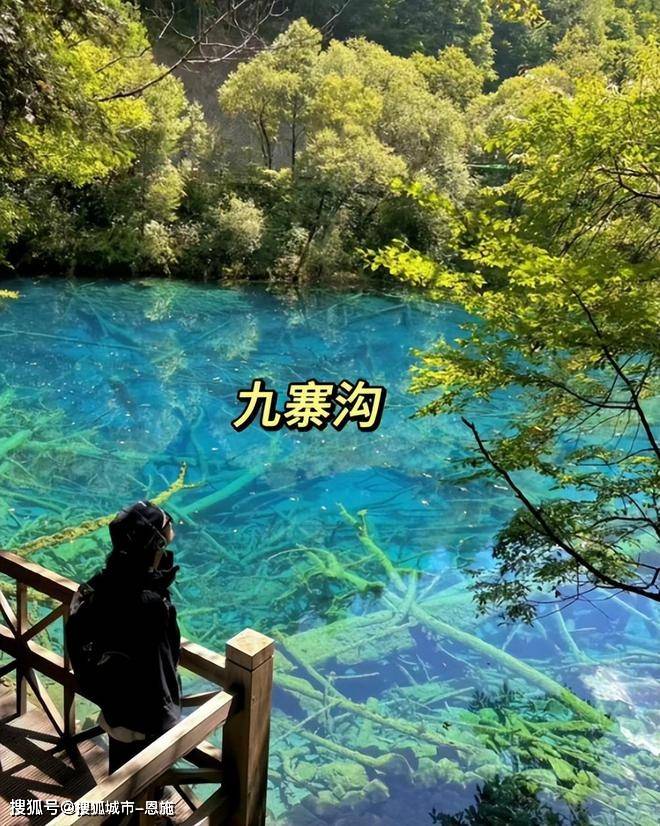 高雄去四川峨眉山旅游5天大概多少钱,峨眉山五日游攻略及费用,避坑