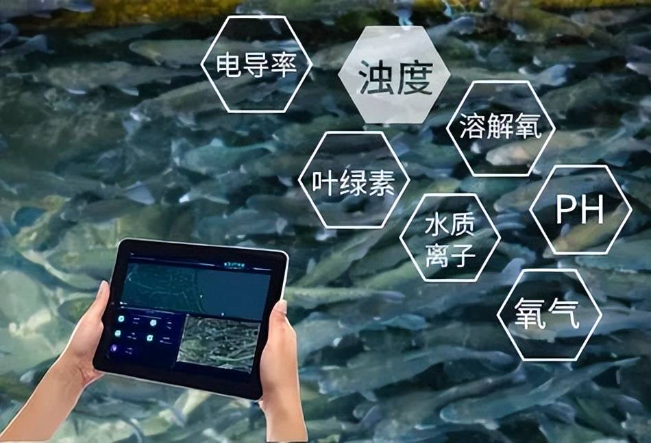 渔业水质监测