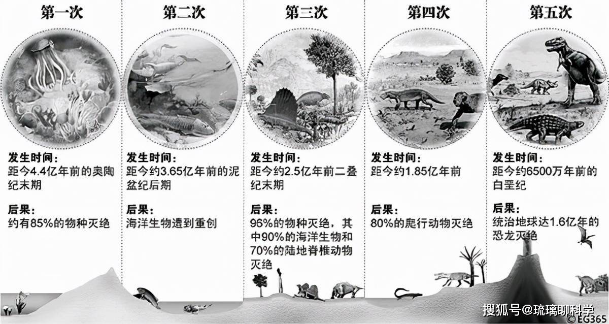 第六次生物大灭绝图片