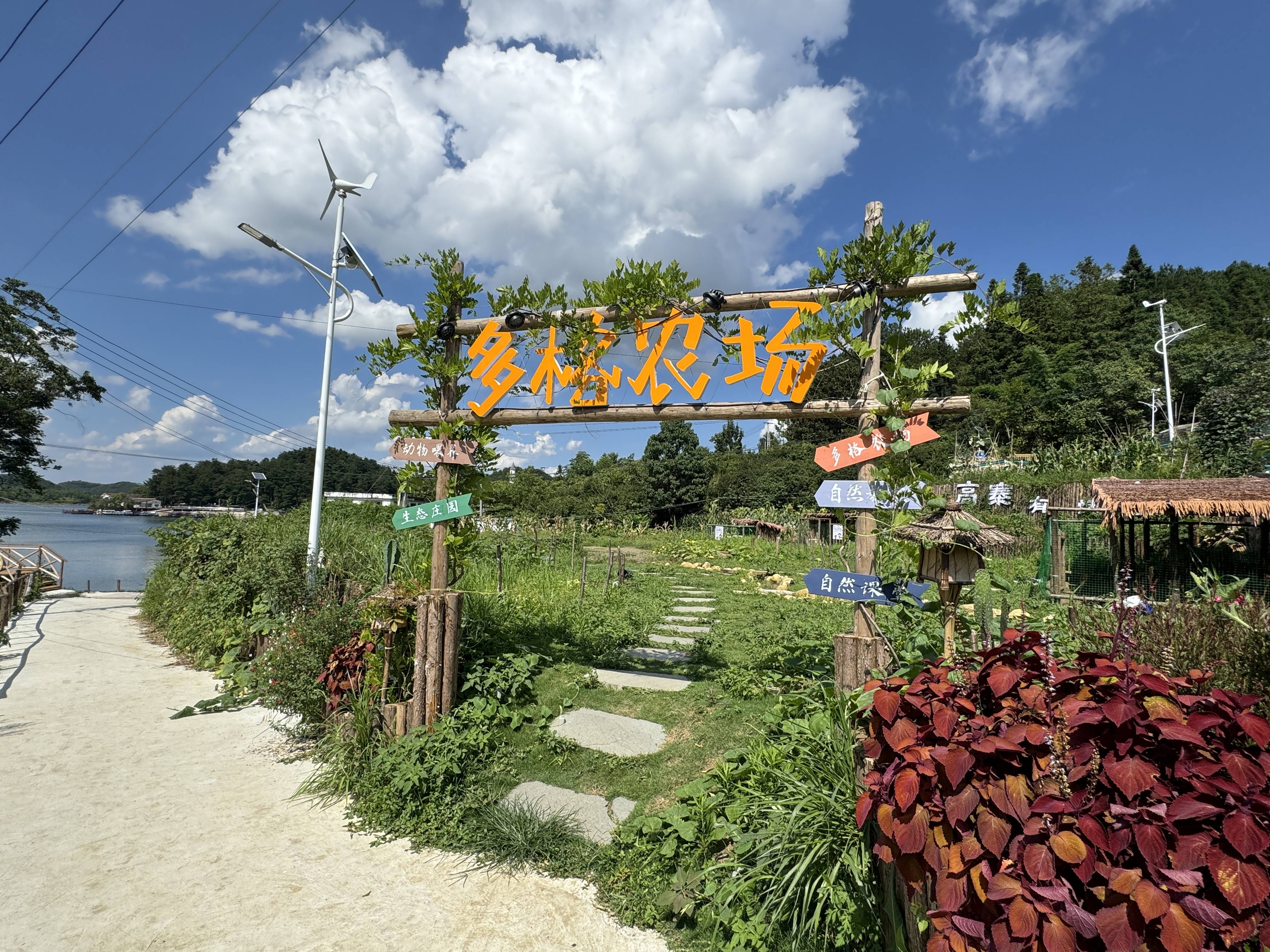 溧阳社渚农场图片