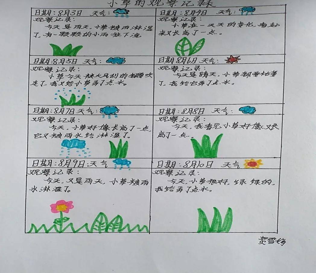 植物备忘录内容图片