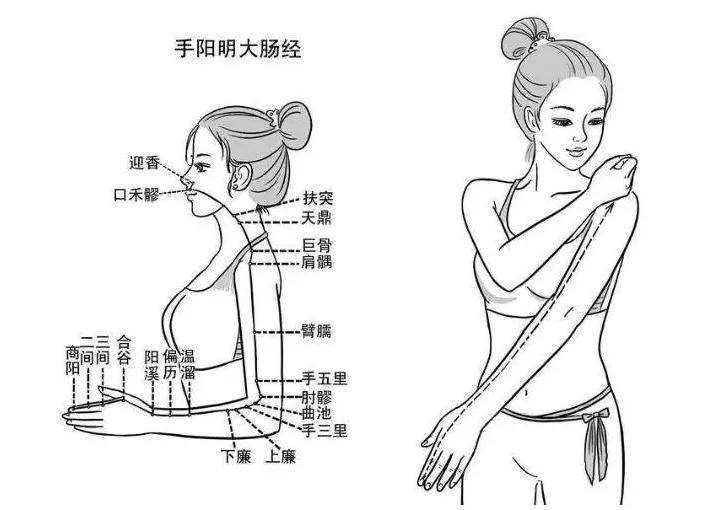 斜飞脉位置图图片