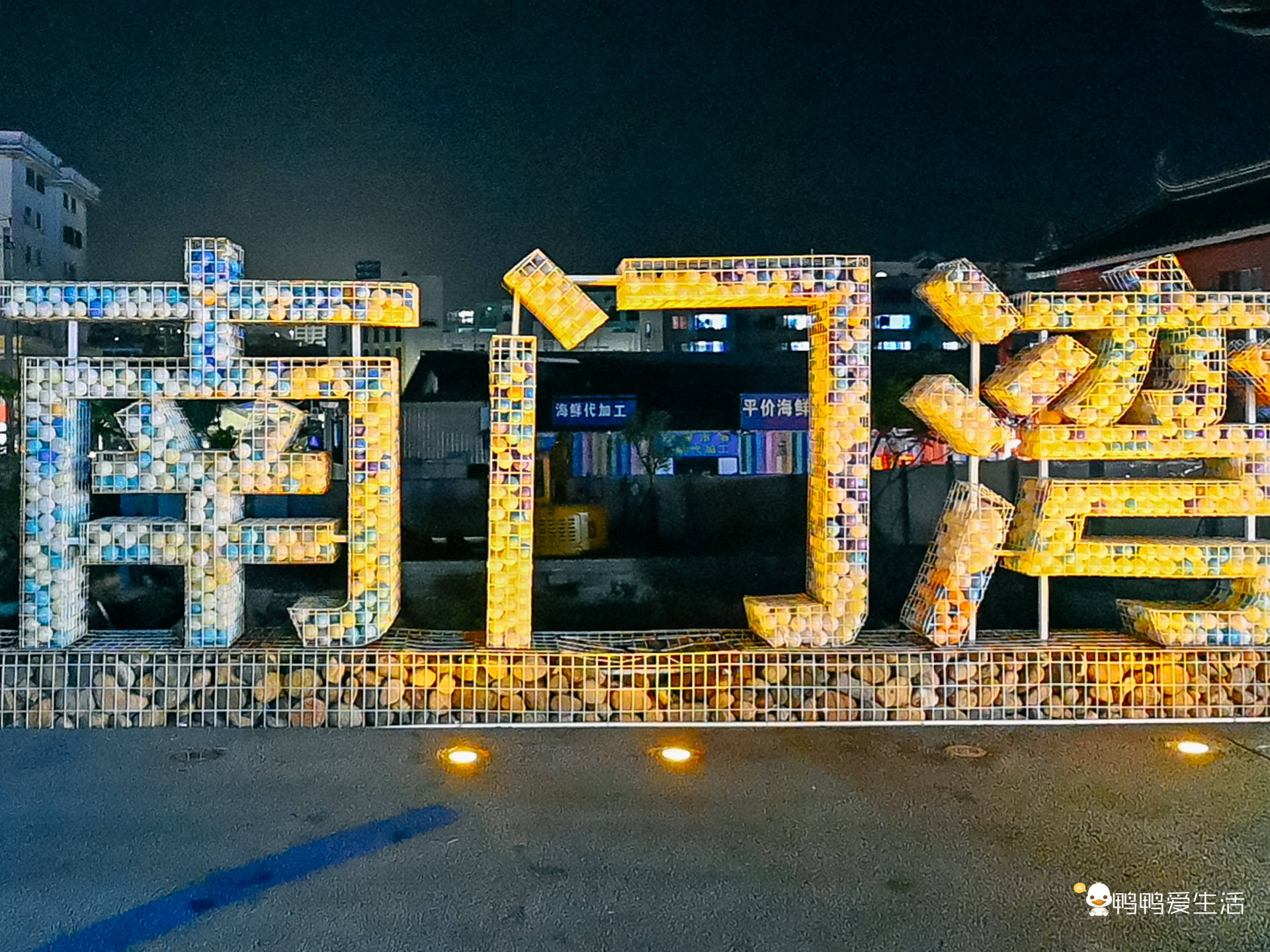 南橘子 