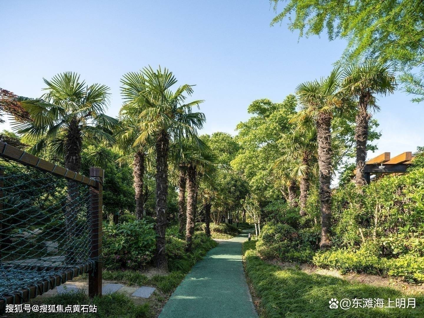 崇明·陈家镇-实景现房别墅丨东滩花园海上明月_生活_上海_自然