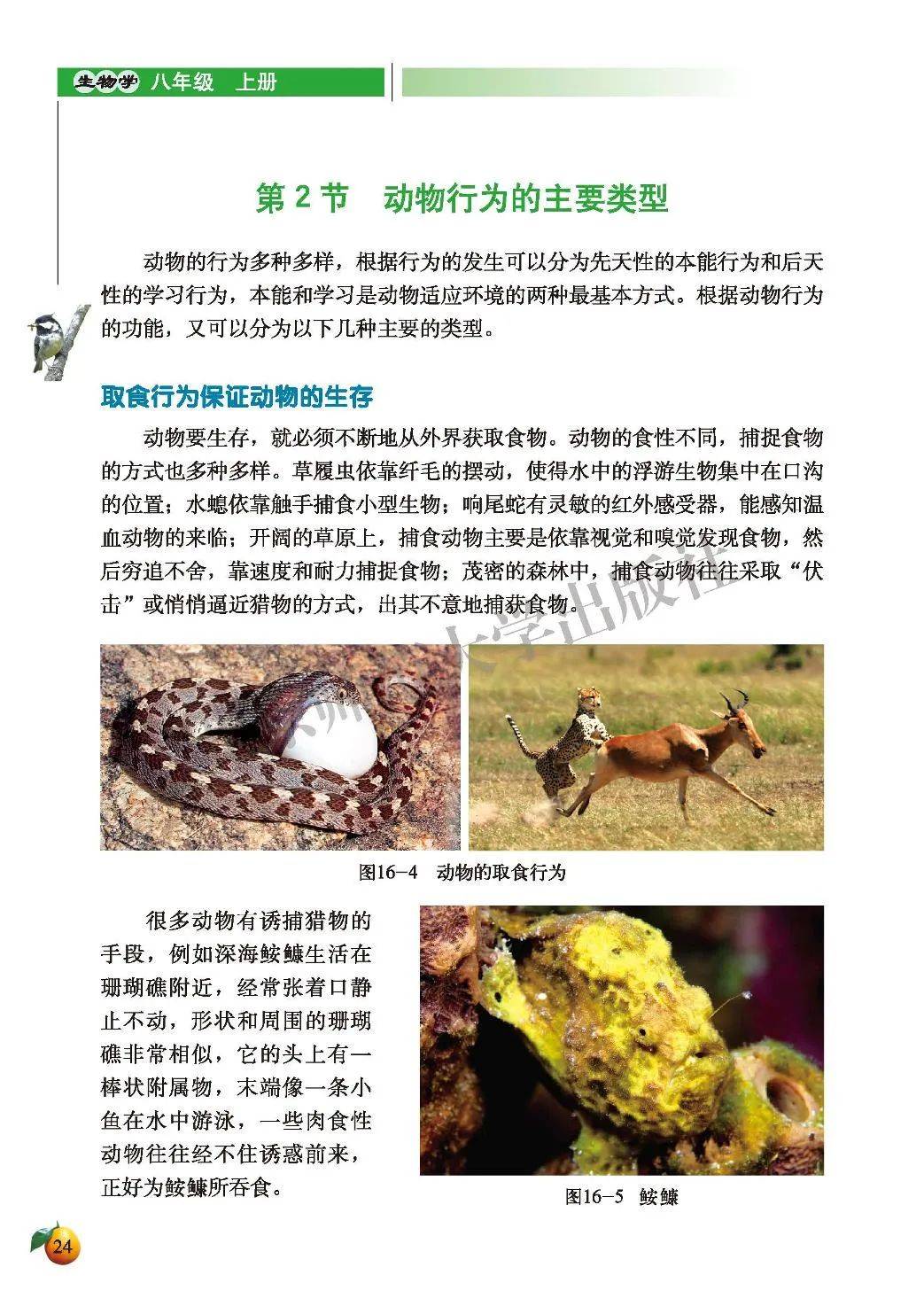 初中生物八年级上册电子课本北师大版