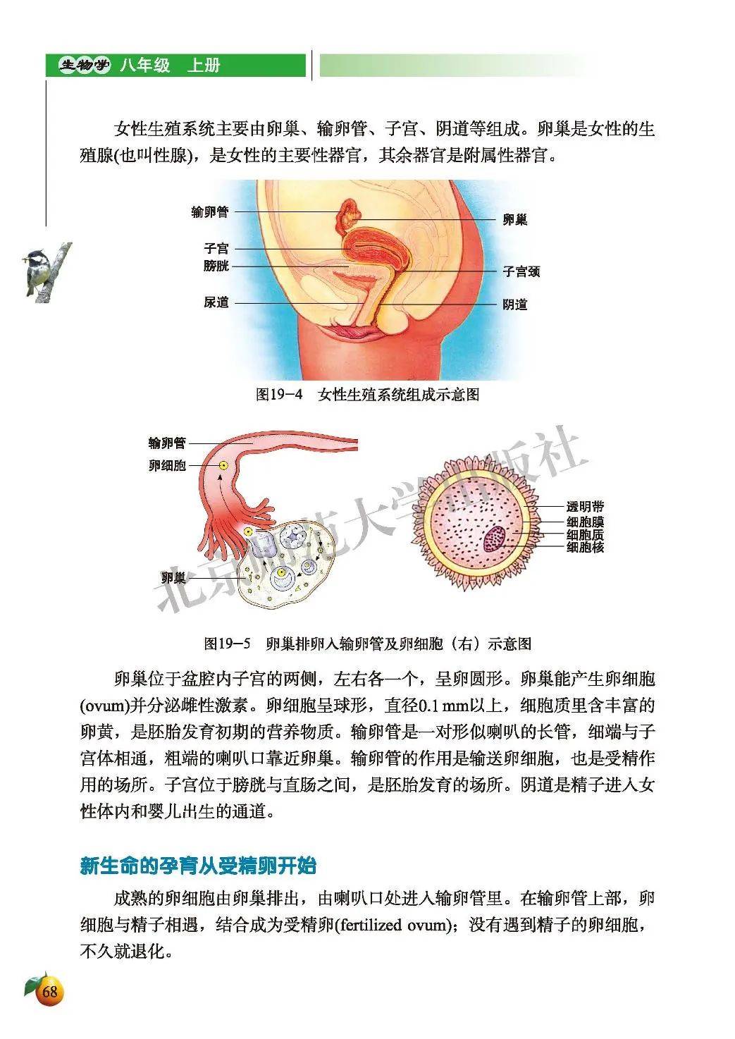 初二生物课本污9页图片