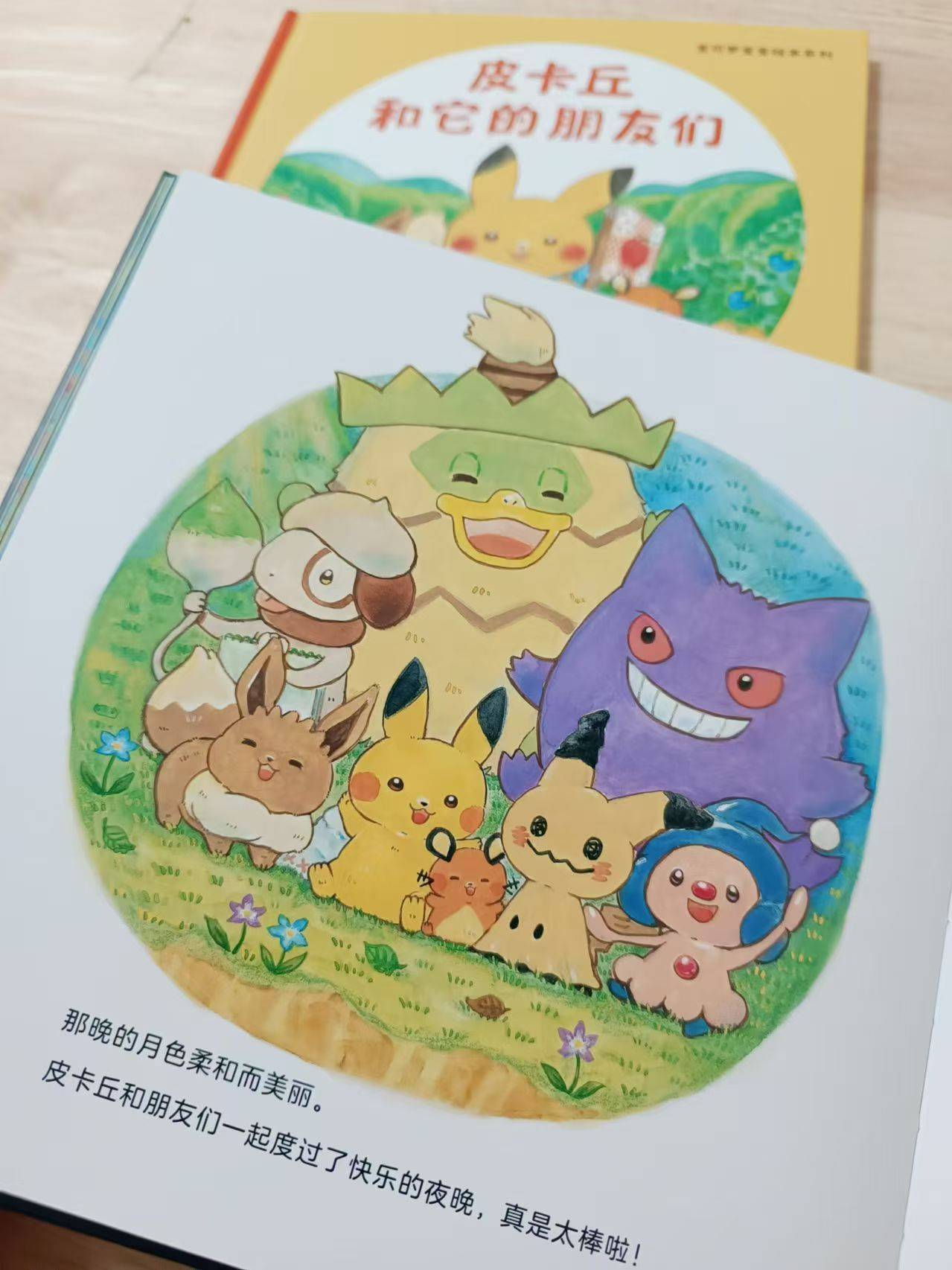 可爱来袭!和皮卡丘,宝可梦们一起去探险吧