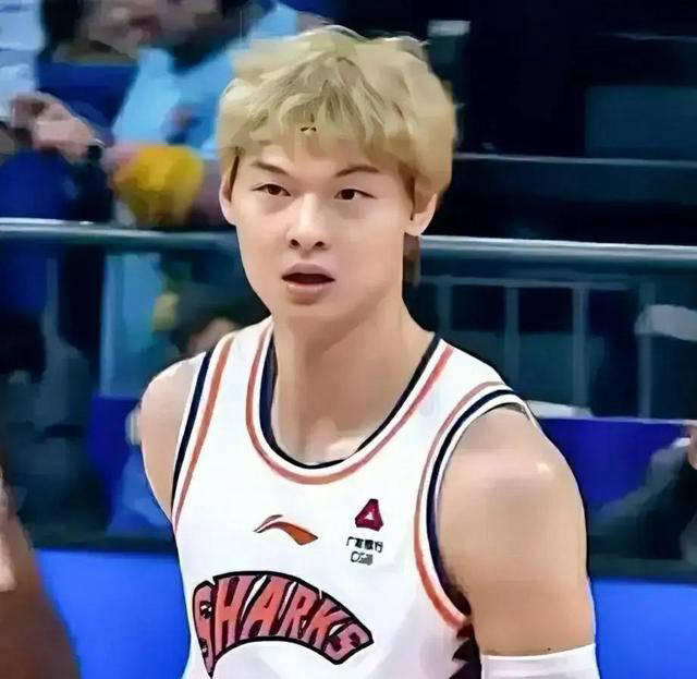 王哲林nba图片