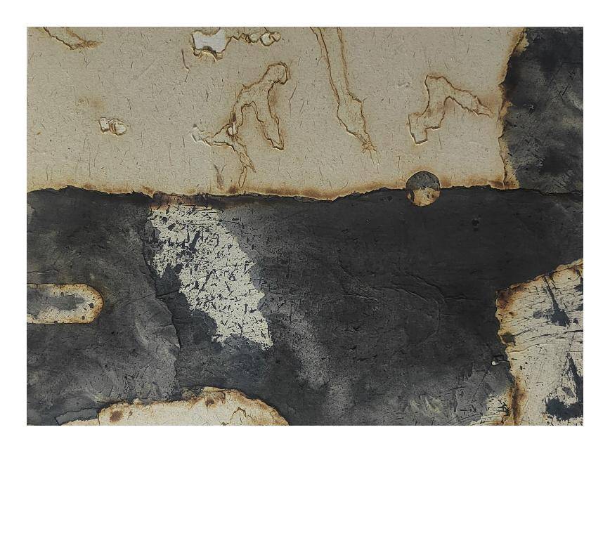 卢清水墨综合材料绘画作品