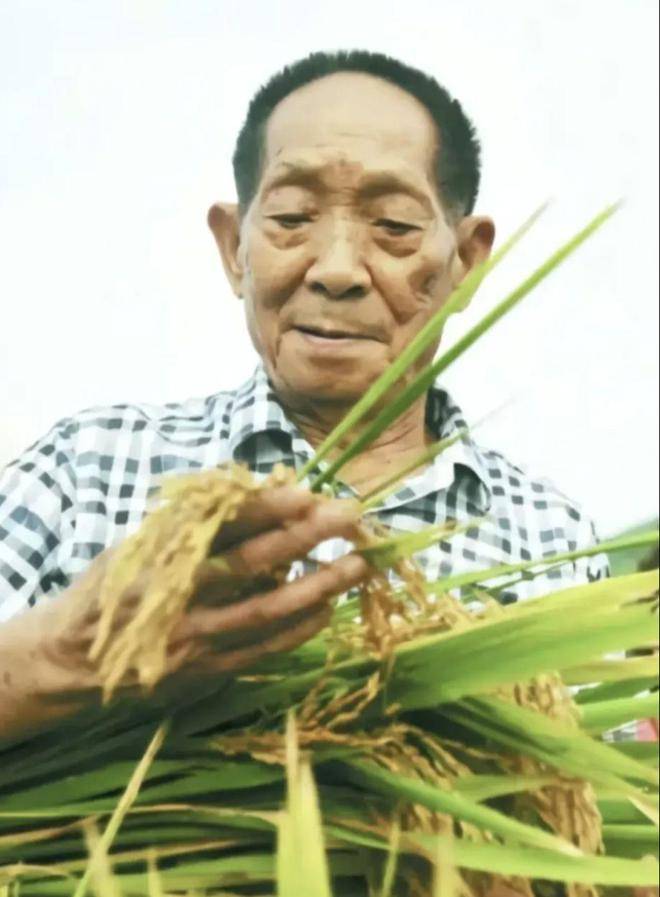 袁隆平院士于2021年5月22日13点07分在星城长沙仙逝