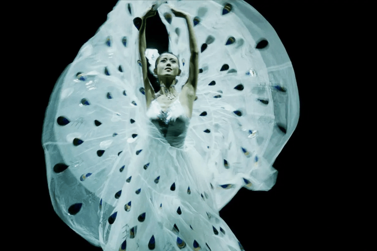 不少媒体纷纷报道她,说她是舞蹈天才,更是能够将自己的心灵和自然结合