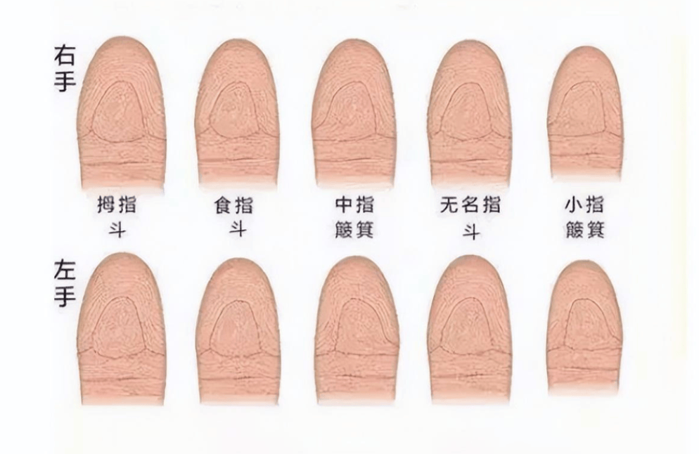 俗语"十指无斗全簸箕,此生有财无处去",啥意思?你几个簸箕?