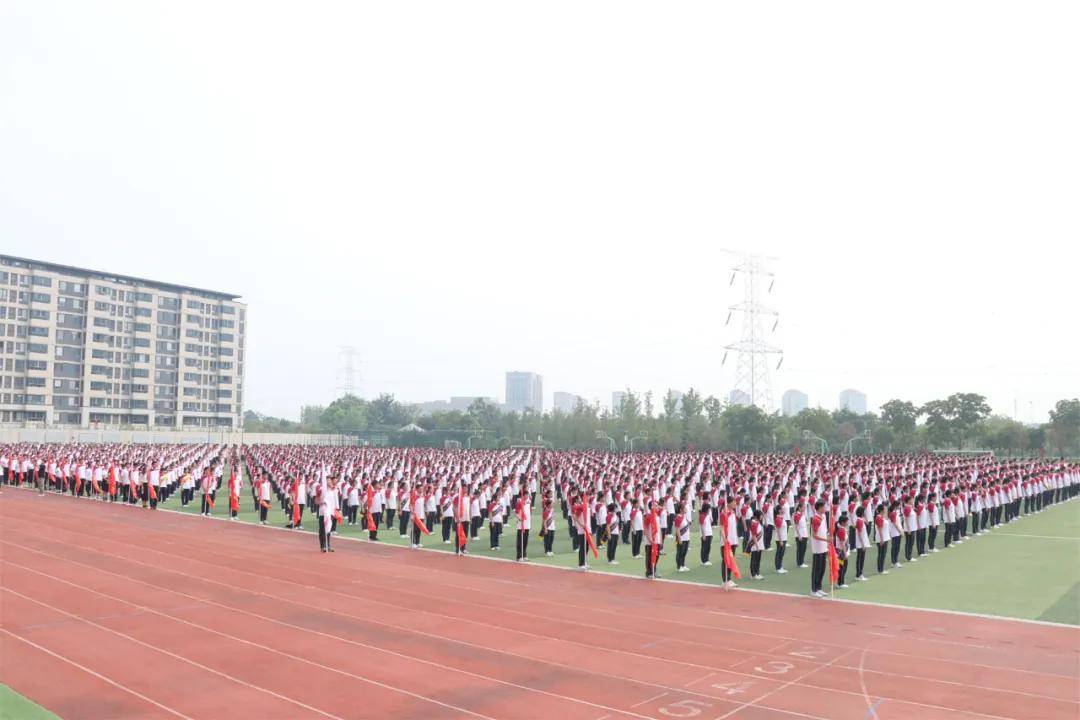 扬州市树人中学图片