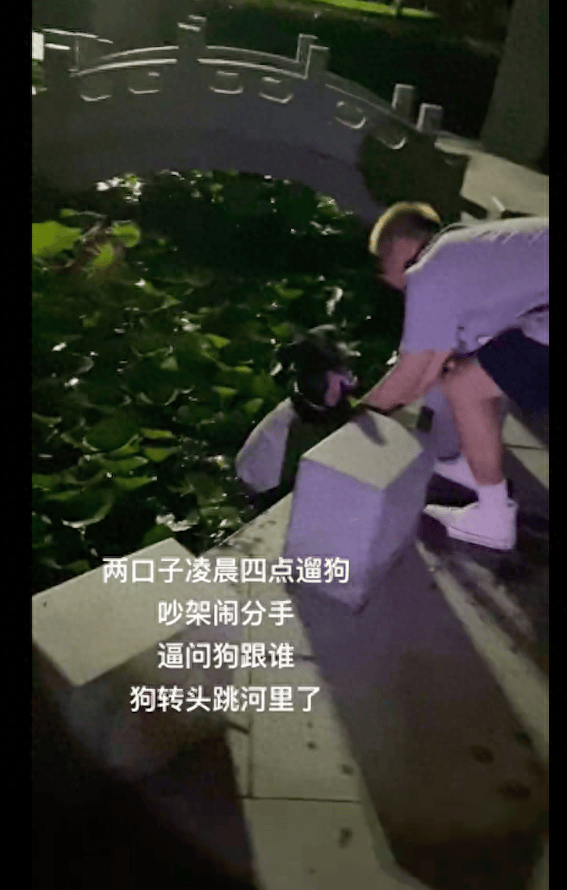 结果它竟转头跳河了！狗 你们和好吧 情侣俩闹分手逼问狗狗跟谁