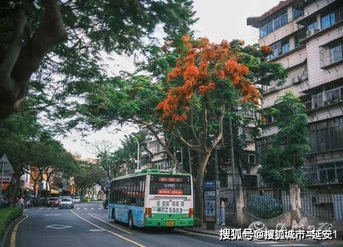 厦门旅游必去经典景点，必去十大景点，新手必看，附旅游攻略-第3张图片-旅游攻略网