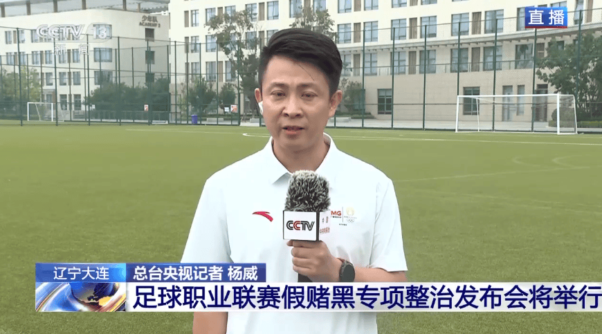 整治足球职业联赛“假赌黑”，44人被终身禁足，汪嵩被禁足5年！-汪强足球运动员