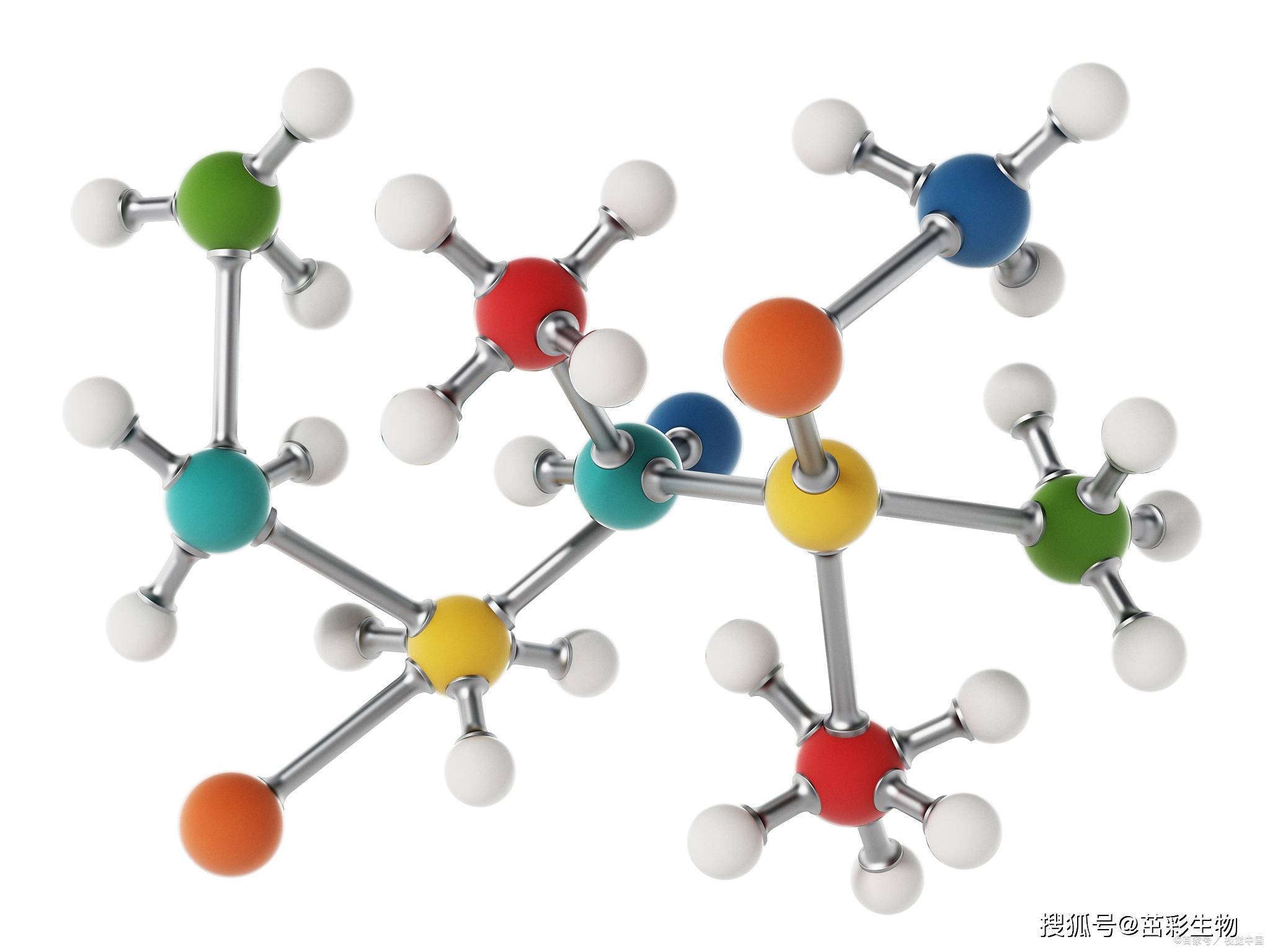 a激酶prka锚定蛋白12(akap 12)|elisa指标