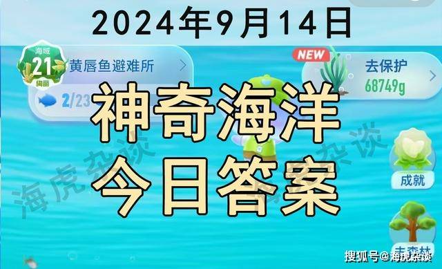 以下哪种海洋动物被称为毯子章鱼?水孔蛸还是大王酸浆鱿?