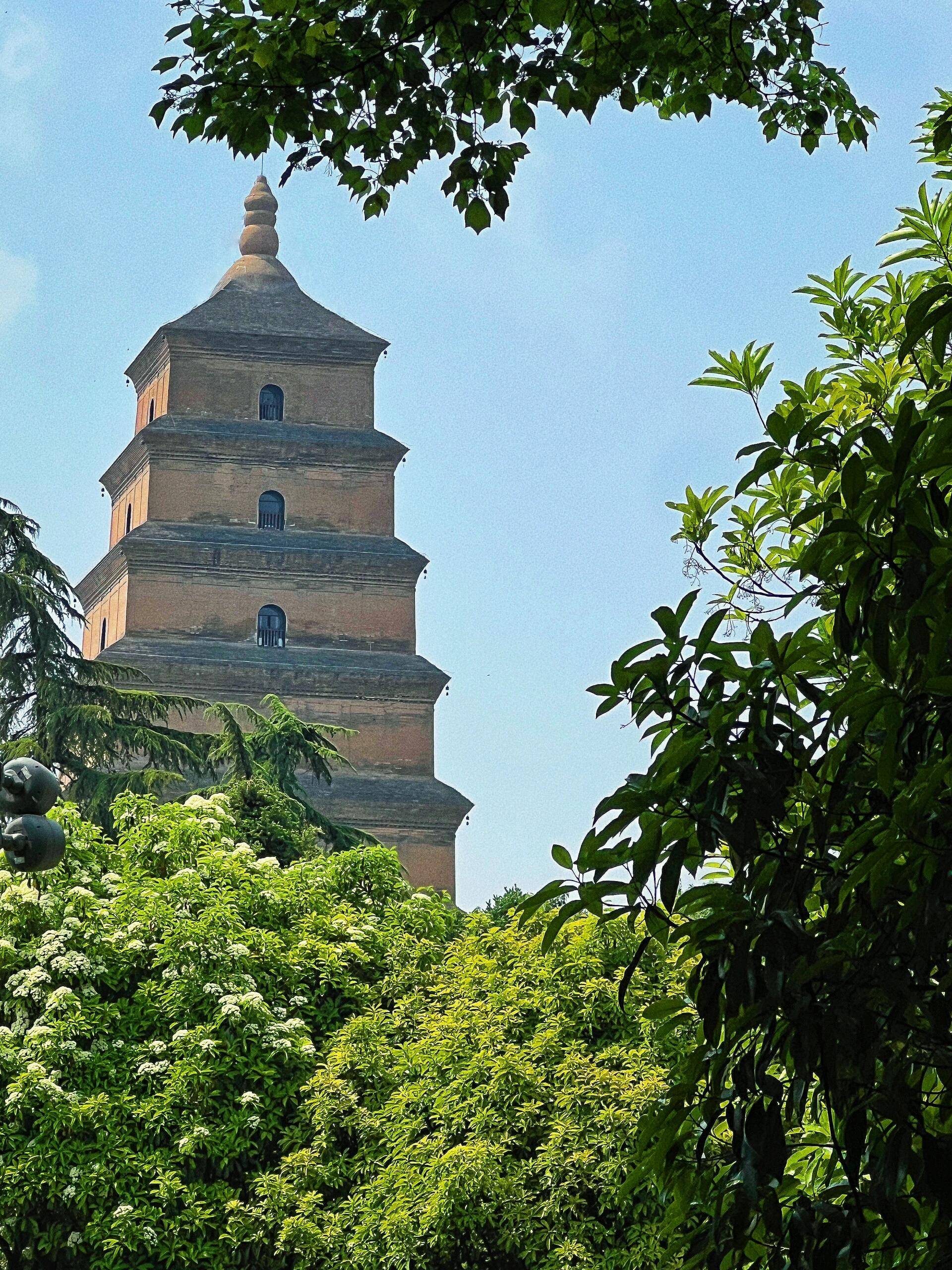 西安旅游攻略,跟团还是自由行,看完这篇就知道了,避坑建议收藏