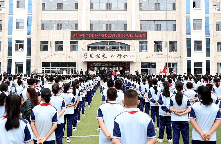 朝阳小学金兴校区图片