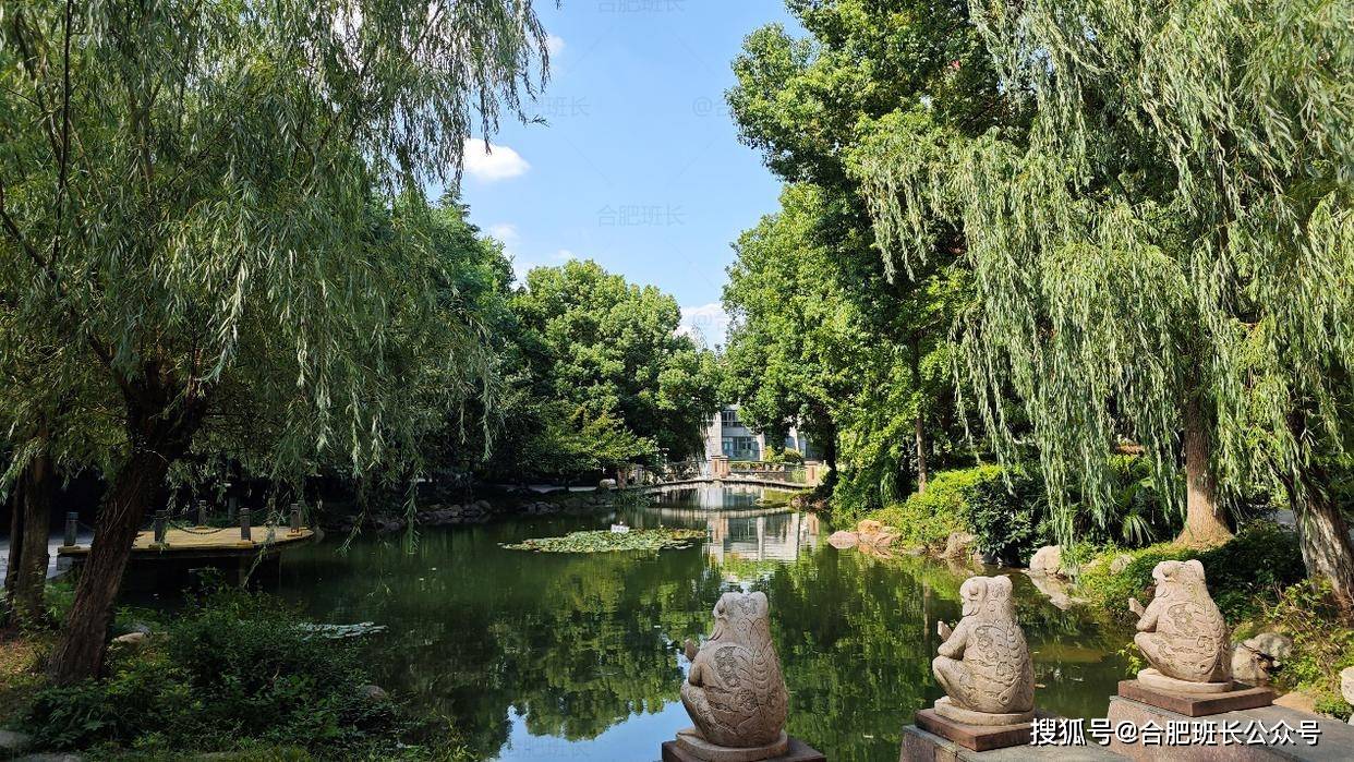 交付二十年依然惊艳,实探蜀山区新华学府花园!