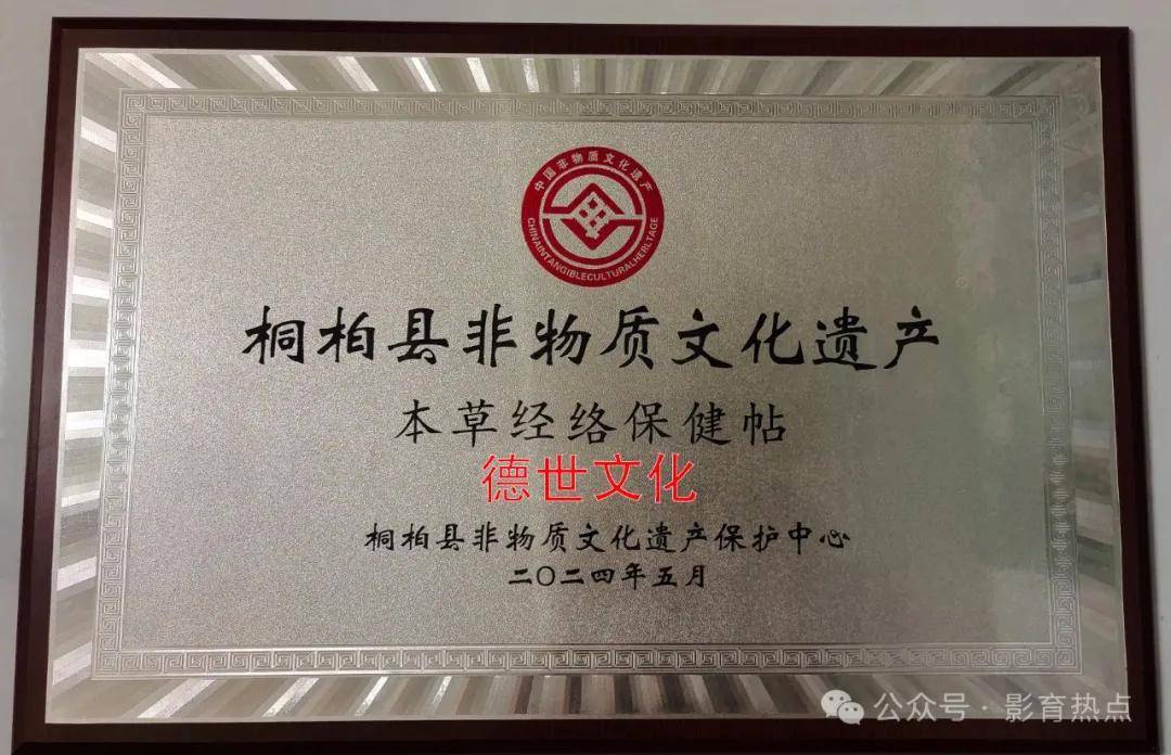 申报非遗｜为《本草经络保健贴》成功申请桐柏县级非物质文化遗产 (图3)