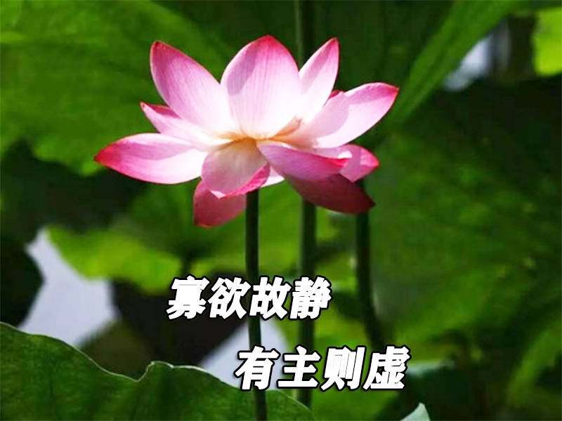 弘一法师:寡欲故静,有主则虚