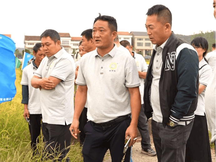 湖南粒粒饱常德临澧站,水稻种植技术交流与成果观摩盛会