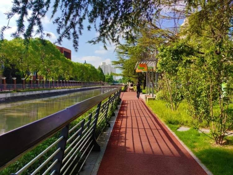 探秘徐汇河道,体验一场"多巴胺"色彩的盛宴