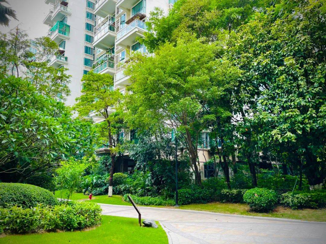 深圳华联城市山林2024首页网站丨华联城市山林价格_户型_地址_详情