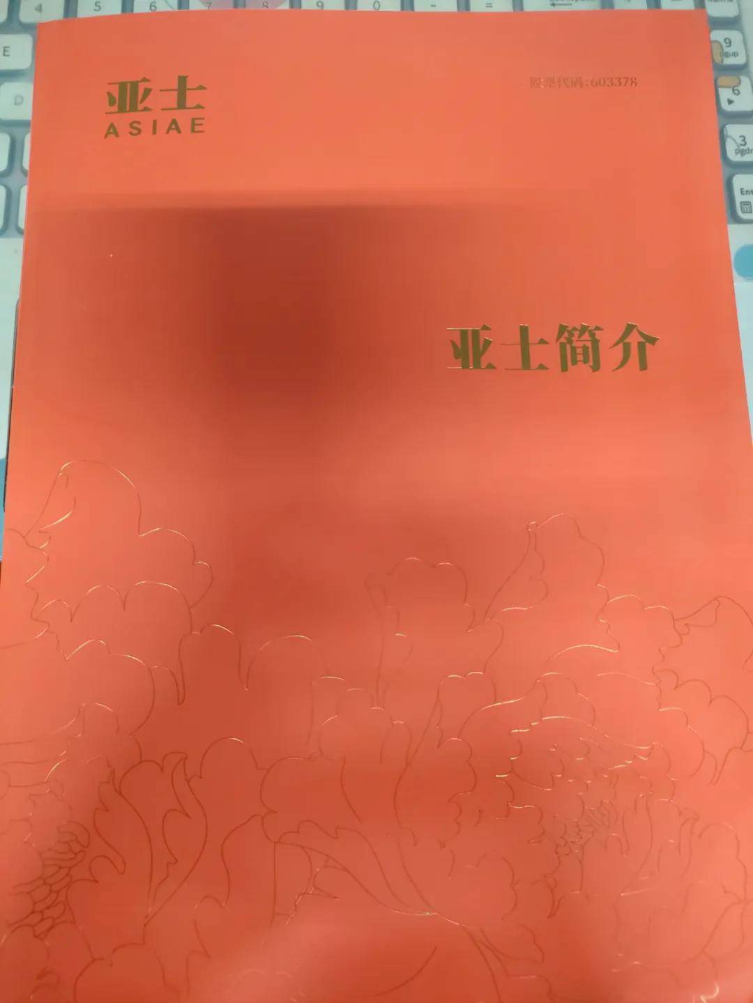 透视涂丨华海带你领略“亚士的另一面”