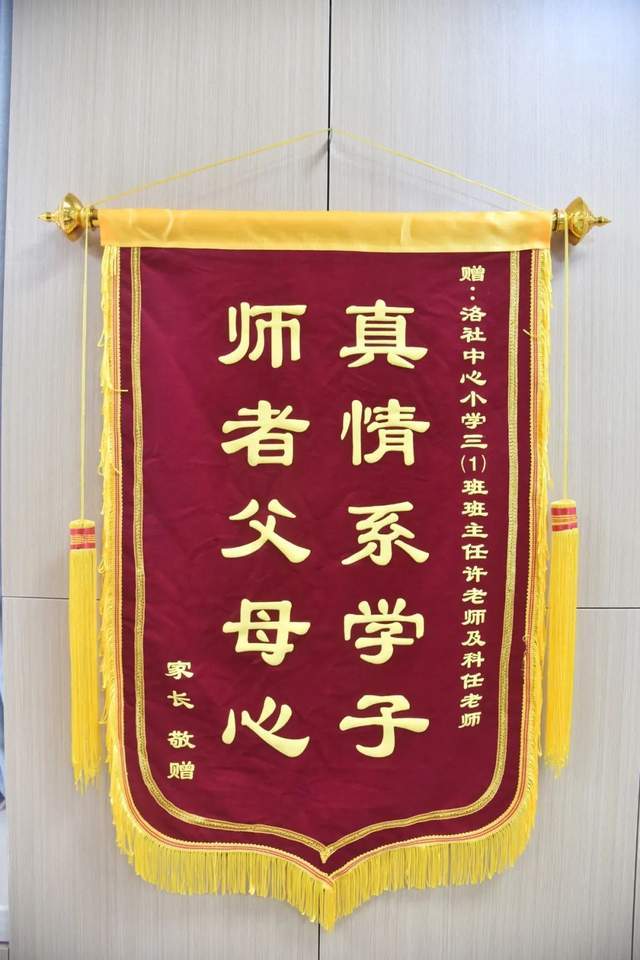 赠小学学校锦旗