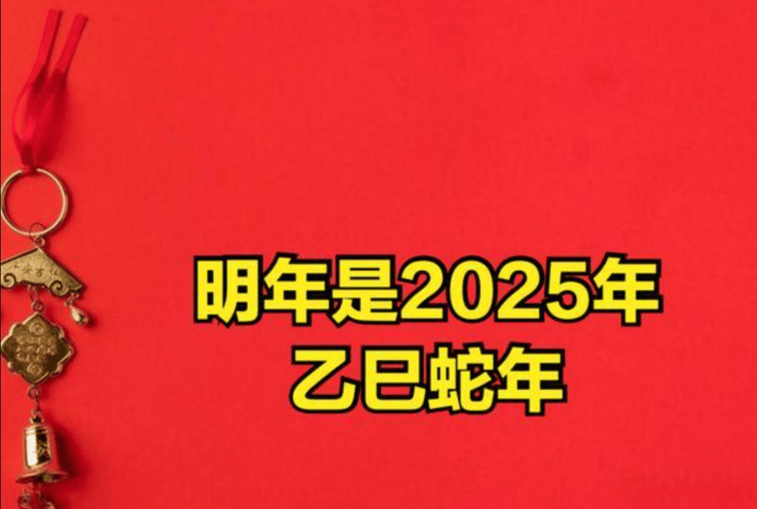 25年是蛇年