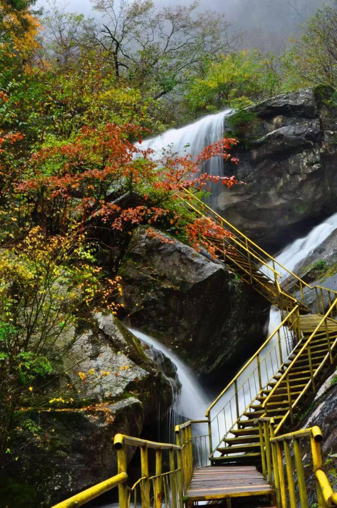 霜降至青峰峡醉美秋色正当时