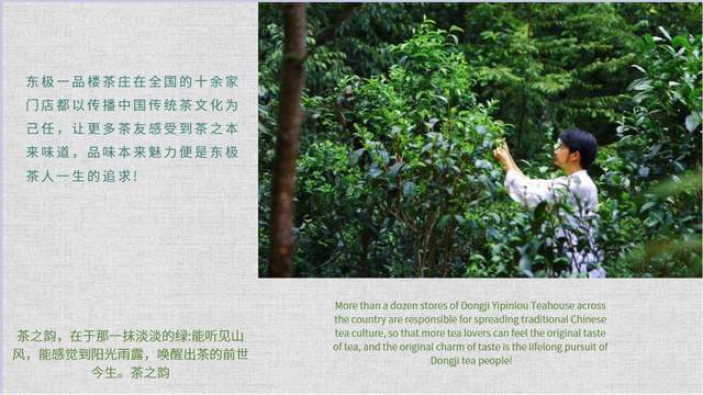 恭喜东极一品楼茶庄.
