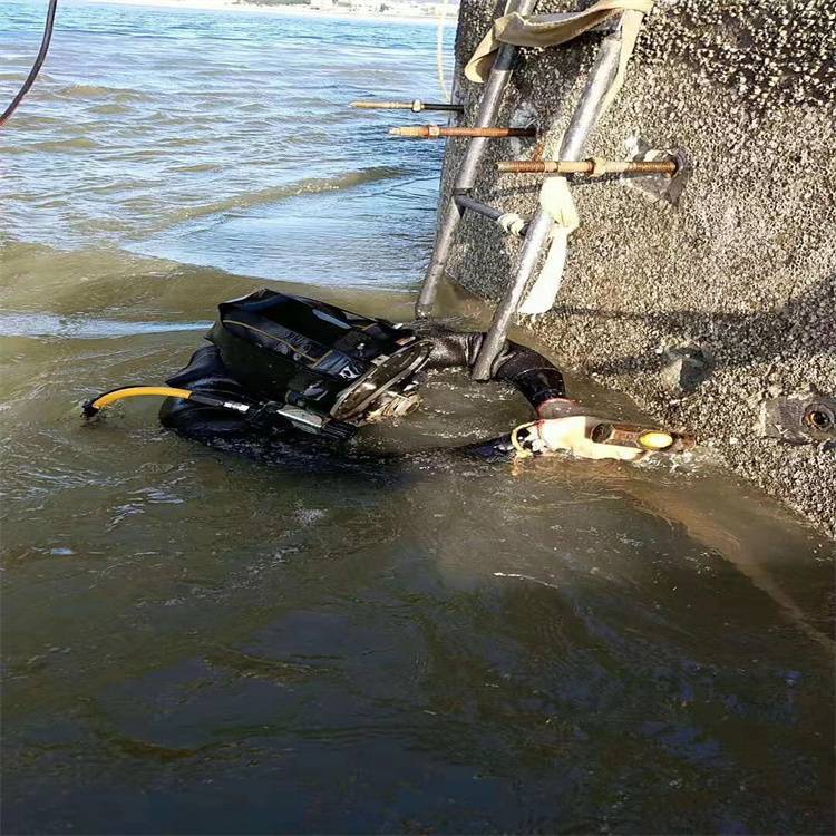 南浔河道疏浚：推动水乡生态恢复与提升