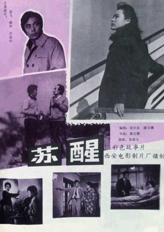 的《小花》获得了百花奖最佳女演员奖和南斯拉夫电影节最佳女主角奖