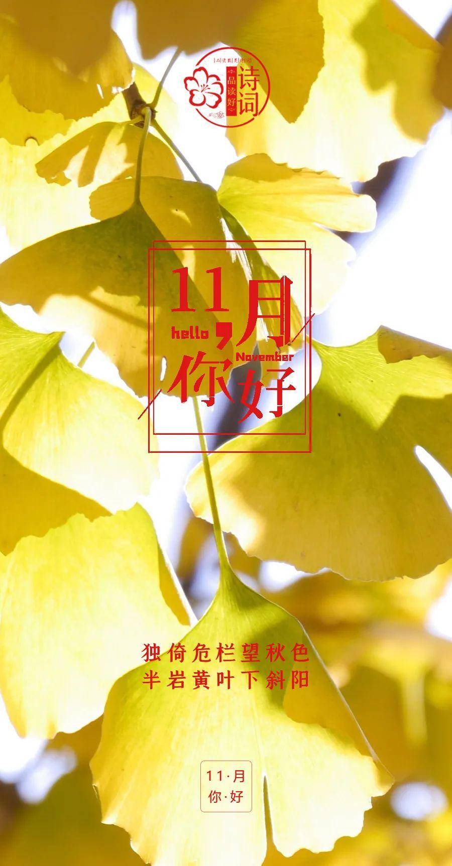 文章配图-2