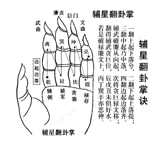 薄化君七星针法图片