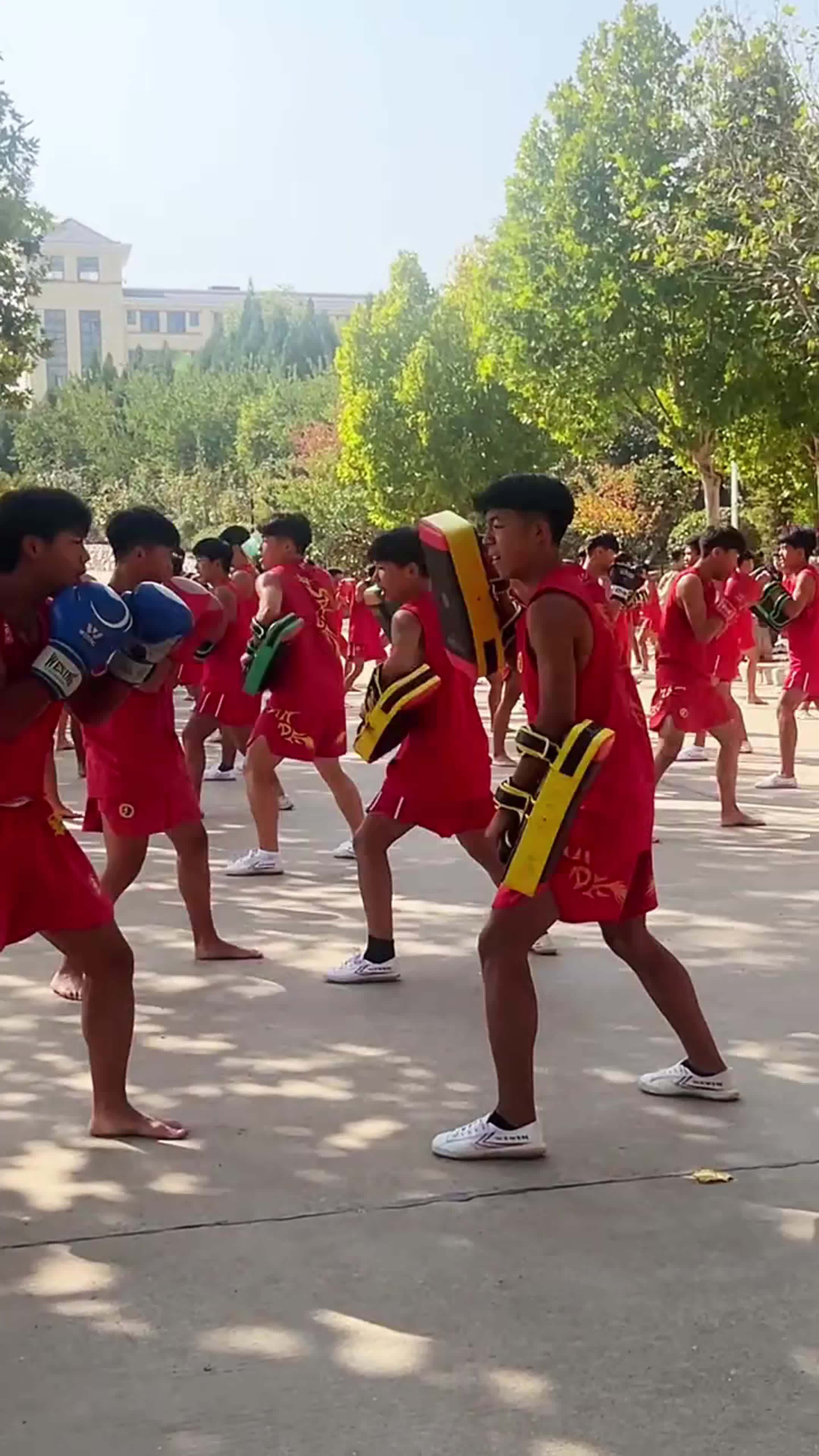 延鲁武校的散打风云:课堂实录