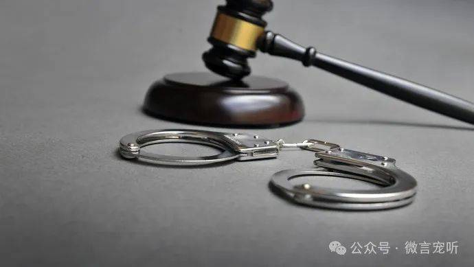 从湛江市下辖 的廉江市 6 任市委书记伍杰忠,陈吴,何鑫,陈光祥,林海武